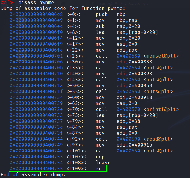 pwnme Disassembly