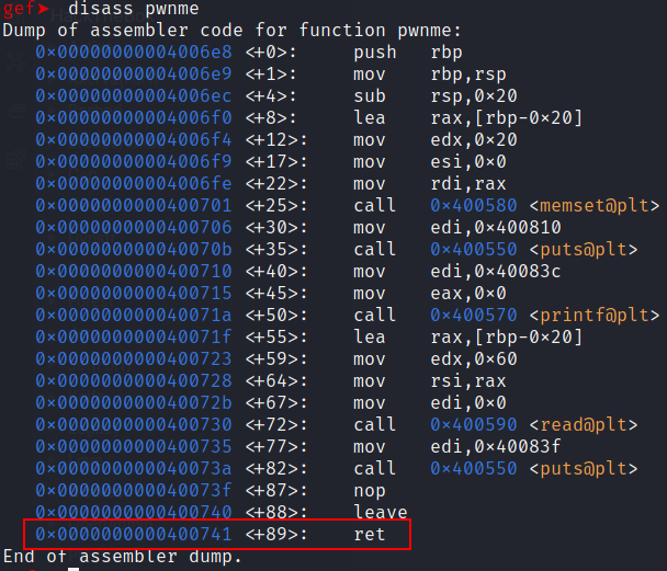 pwnme disassembly